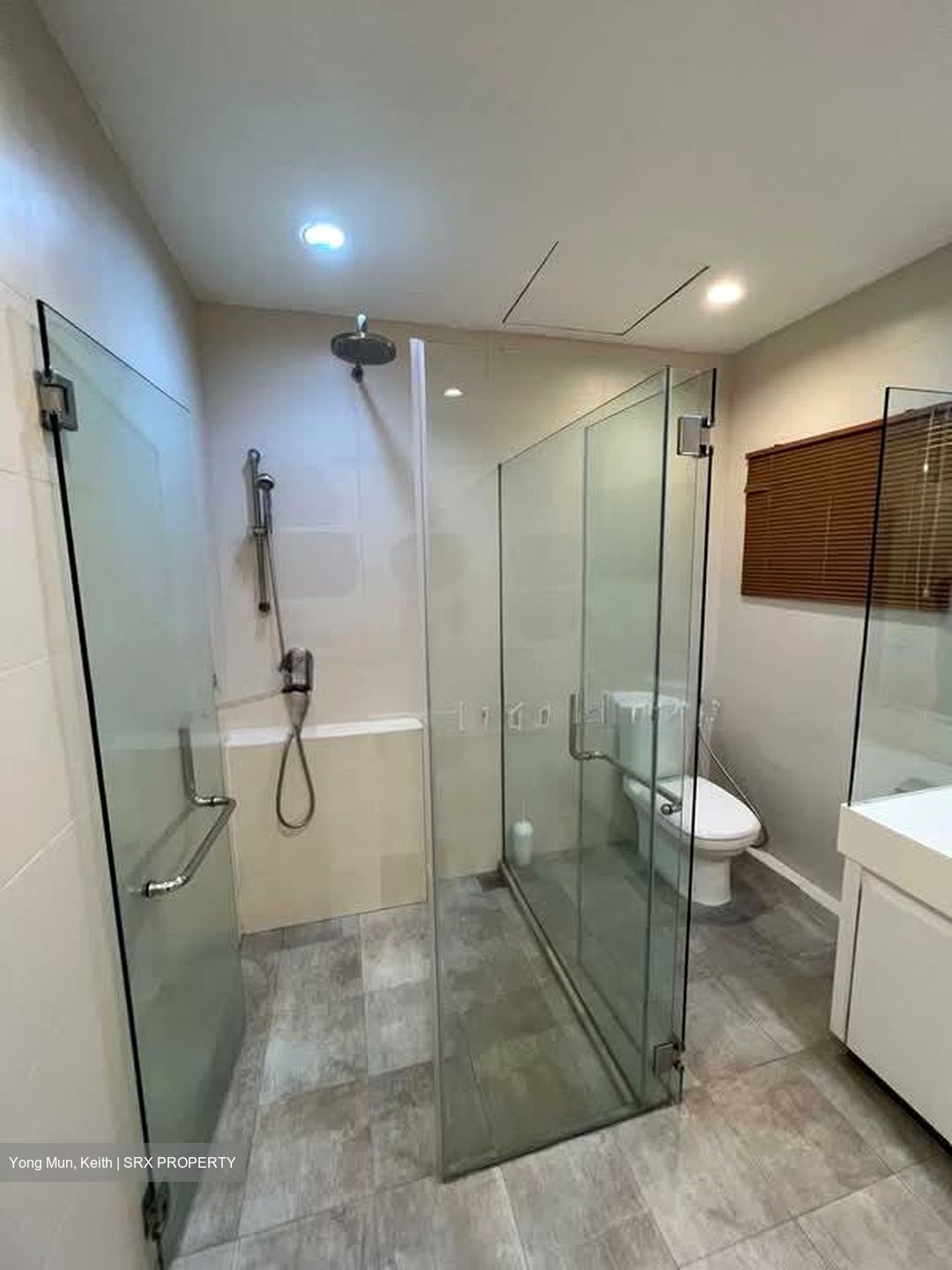 The Arcadia (D11), Condominium #544069651